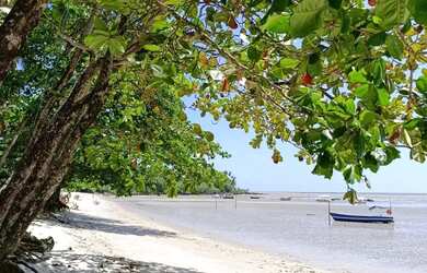 Imagem: O terreno possui 286m² de Área e está localizado em Velha