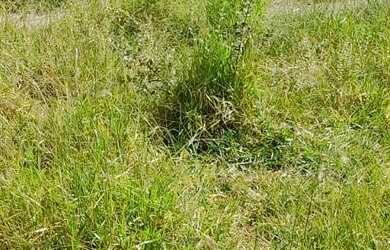 Imagem 4: Diamantina. 490m² de Área