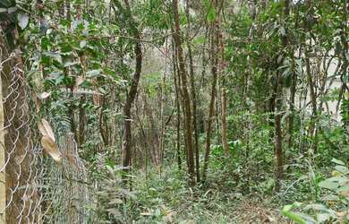 Imagem: O terreno possui 1.000m² de Área e está localizado em Sao