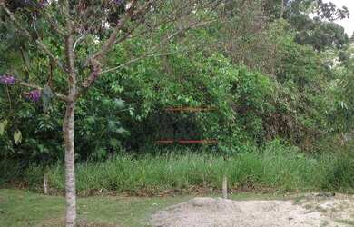 Imagem 3: Terreno à venda, 1290 m² por R$ 265.000,00 - Granja Viana II - Cotia/SP