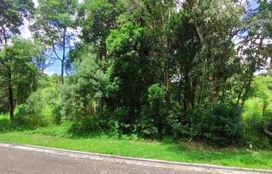 Imagem 5: Terreno à venda, 450 m² por R$ 480.000,00 - Vivendas Do Arvoredo - Gramado/RS