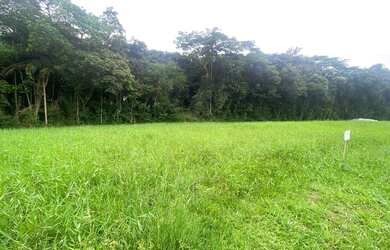 Imagem 2: Terreno à venda, 531 m² por R$ 3.850.000,00 - Riviera de São Lourenço...