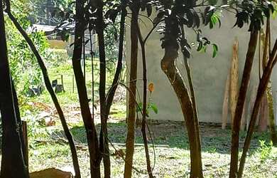 Imagem 11: Pandolfo Vende Sítio no Guaíba Country Club