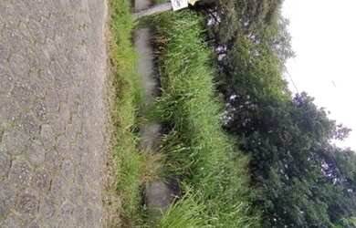 Imagem: O terreno possui 285m² de Área e está localizado em Pantanal