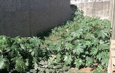 Imagem: O terreno possui 125m² de Área e está localizado em Jardim