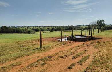 Imagem: A fazenda está localizado em Israelândia, GO à venda por