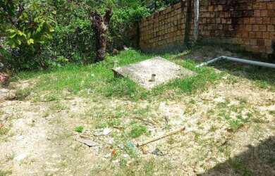 Imagem 4: Casa na Colônia Antônio Aleixo