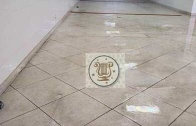 Imagem 3: Salão para alugar por R$ 4.982/mês - Limão - São Paulo/SP