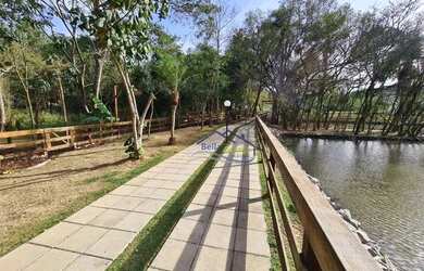 Imagem 16: GRANJA VIANA - SÃO PAULO II