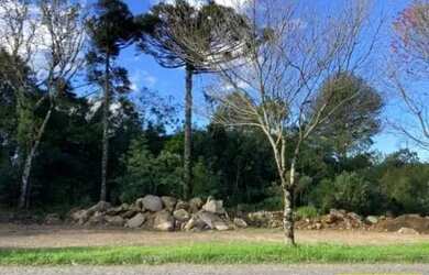 Imagem 3: Terreno para Venda em Nova Petrópolis, Vila Germânia
