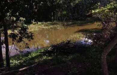 Imagem: A fazenda possui 11m² de Área e está localizado em Setor