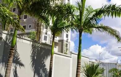 Imagem 5: LINDO APARTAMENTO EM COBERTURA NA AVENIDA ABEL CABRAL PROXIMO DA AYRTON SENNA