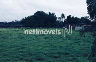 Imagem 12: Venda Fazenda Fazenda Exemplo Cachoeira