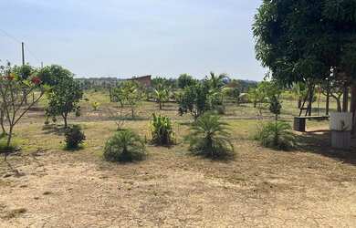 Imagem 3: VENDE-SE SÍTIO EM AMAJARI - OPORTUNIDADE IMPERDÍVEL