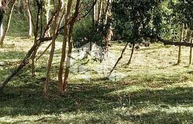 Imagem 12: Excelente terreno amplo com boa frente