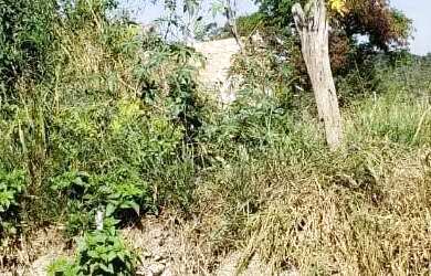 Imagem: O terreno possui 250m² de Área e está localizado em Belvedere