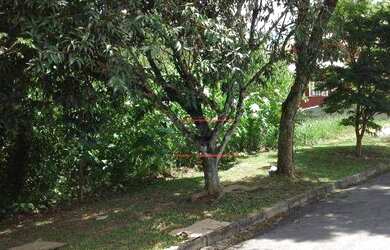 Imagem 8: Terreno à venda, 1290 m² por R$ 265.000,00 - Granja Viana II - Cotia/SP