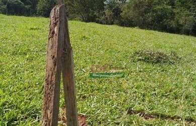 Imagem 2: Terreno à venda, 1200 m² por R$ 135.000,00 - Cunha - Cunha/SP