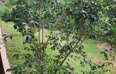 Imagem 6: Chácara à venda, 1030 m² por R$ 580.000,00 - Maracanã - Jarinu/SP