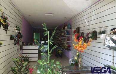 Imagem 7: Galpão no Bairro Cardoso em Aparecida de Goiânia à venda