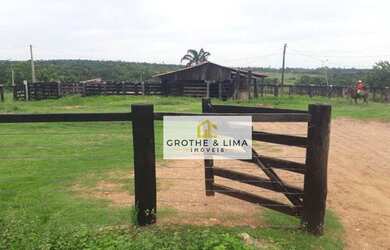 Imagem 7: Fazenda à venda, 505 Alqueirão por R$ 50.500.000 - Araguaína/TO