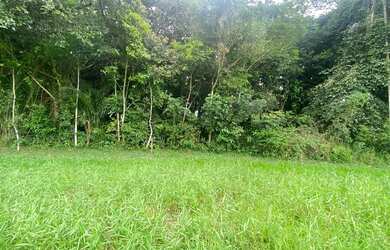 Imagem 4: Terreno à venda, 531 m² por R$ 3.850.000,00 - Riviera de São Lourenço...