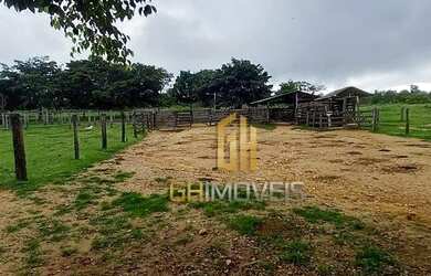 Imagem 8: Fazenda à venda, 503 hectares por R$ - Zona Rural - Goianésia/GO