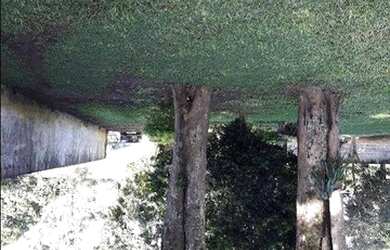 Imagem 11: Terreno à venda, 2300 m² por R$ 640.000,00 - Jardim Santa Hermínia...