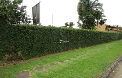 Imagem 4: Terreno à venda, 750 m² por R$ 900.000,00 - Park Lane - Guarujá/SP