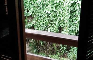 Imagem 5: Casa a venda na Ilha da Pintada na beira do Rio Jacuí