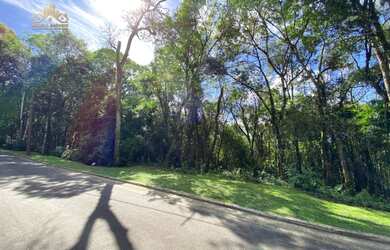 Imagem 3: Terreno à venda, 800 m² por R$ 650.000,00 - Vila Suíça - Gramado/RS