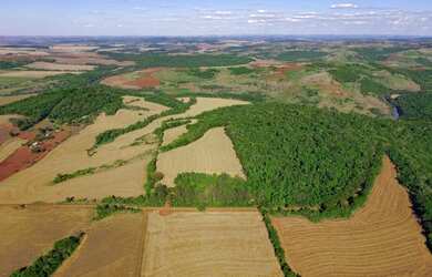 Imagem 6: Vendo - Distrito Paiquere - Sítio Taquara - Paiquere - Londrina - Paraná