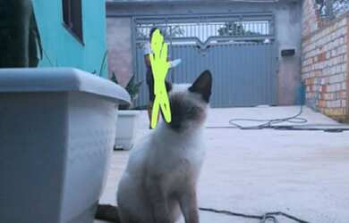 Imagem 2: Casa. 1 Banheiroe1 Dormitório