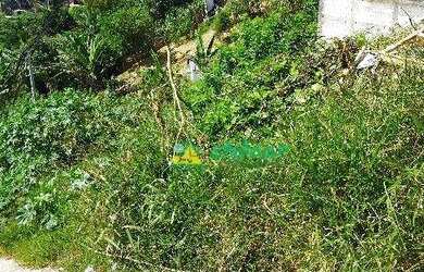 Imagem 2: Terreno à venda, 1460 m² por R$ 850.000,00 - Recreio São Jorge - Guarulhos/SP