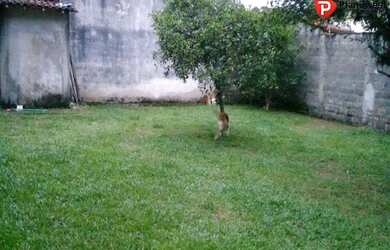 Imagem 12: CASA MARTIM DE SA - CARAGUATATUBA SP