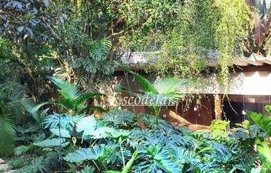 Imagem 16: Chácara à venda, 6300 m² por R$ 4.000.000,00 - Mairiporã - Mairiporã/SP