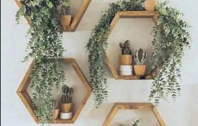 Imagem: A casa possui Imóvel novo e está localizado em Benedito Bentes