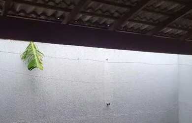 Imagem 11: Casa Veiga Jardim. Varanda, 115m² de Área, 2 Vagas na garageme3 Dormitórios