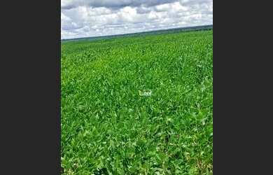 Imagem: A fazenda possui 3.000.000m² de Área e está localizado em