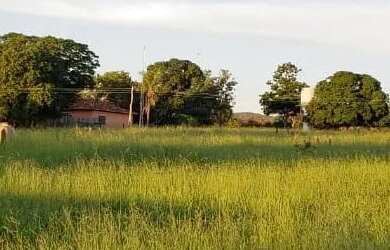 Imagem 12: Oportunidade Fazenda pecuária de 1.186 hectares com aptidão para Usina...