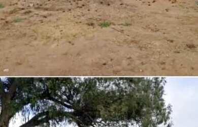 Imagem: O terreno possui 5.000m² de Área e está localizado em Ferraria