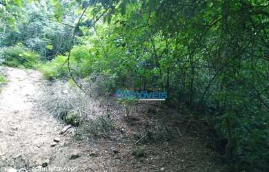 Imagem 8: Área à venda, 605000 m² por R$ 450.000,00 - Zona Rural - Itaperuçu/PR