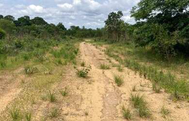 Imagem 4: Fazenda à venda, 2478 hectares por R$ 12.800.000 - Zona Rural - Itacajá/TO