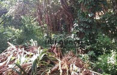 Imagem 4: Terreno à venda, 964 m² por R$ 550.000 - Vila Leis - Itu/SP