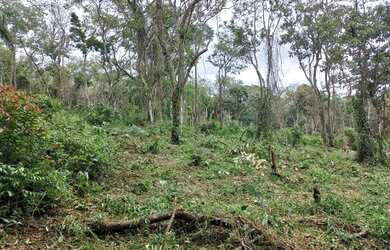 Imagem 2: 14 Lotes em Ibiúna-SP 3E5NVD