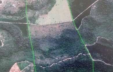 Imagem 7: Fazenda para venda, tem 750.000 m² em Porto Seguro - Porto Seguro - BA