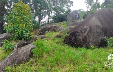 Imagem 5: Terreno à venda, 3000 m² por R$ 370.000,00 - Costa Do Macacu - Garopaba/SC