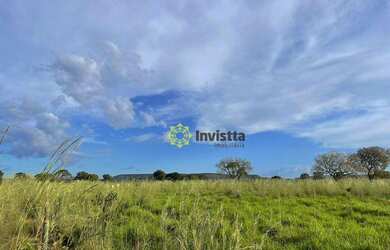 Imagem 3: Fazenda à venda, 2.463 Hectares em Aparecida do Rio Negro - TO