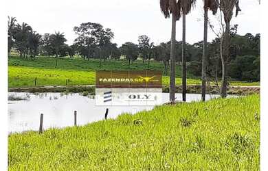 Imagem 2: Fazenda Extra Região São Miguel do Araguaia 75 Alqueires