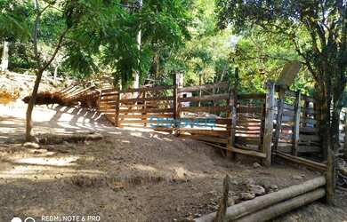 Imagem 10: Área à venda, 605000 m² por R$ 450.000,00 - Zona Rural - Itaperuçu/PR